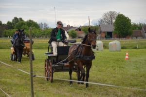 3. Srečanje kočij in konjenikov na Grabah 11
